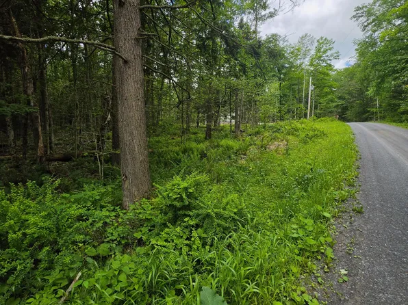 23 Wooded Ln, Muncy Valley, PA 17758