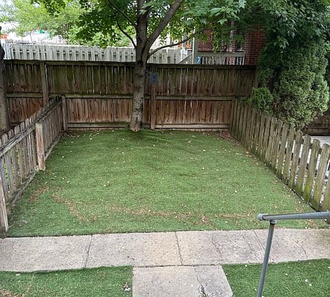 this is turf - no mowing needed!