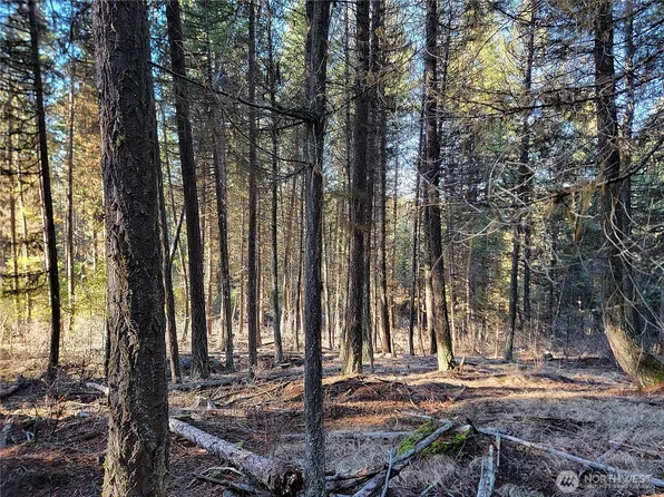 9999 TBD Lundimo Meadows Road, Curlew, WA 99118