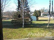 View of Back Yard