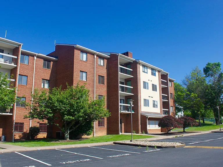 1010-5 Blue Ridge Dr — Photo 5