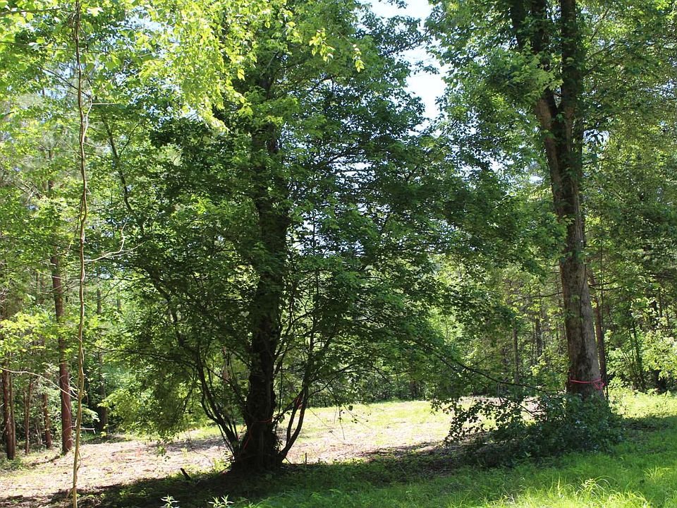 2nd image of 43 W River Trce