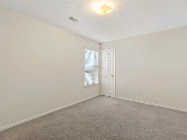 15119 Live Oak Bend Way — Photo 14