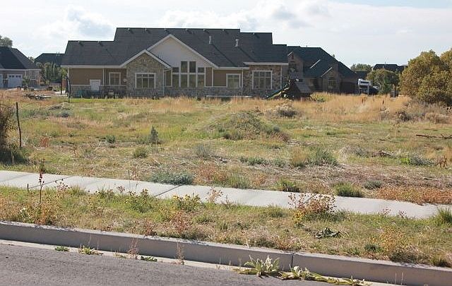 1st image of 137 W Glacier Lily Dr