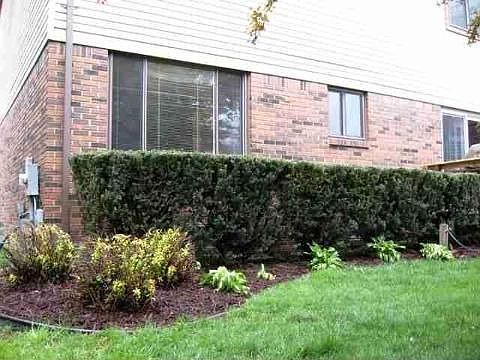 4th image of 40625 La Grange Dr