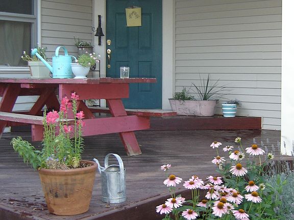 Front of the house garden