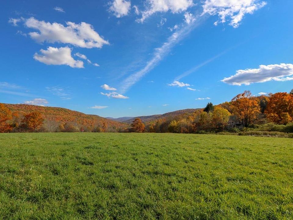 3524 Basin Clove Rd, Hamden, NY 13782 Zillow