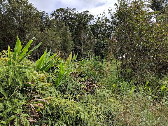 4th image of 18-1975 Ohia Nani Rd Lot 8