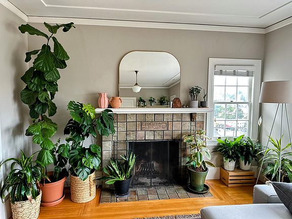 Fireplace in living room. Things to note - the fireplace does not work but it is great to look at.