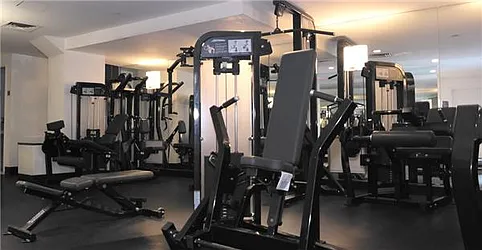 Rented by Stephen P. Wald