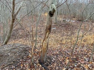 0 Lapperell Rd, Peebles, OH 45660