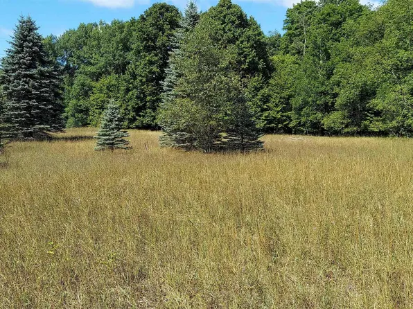3623 Db Trl, Bellaire, MI 49615