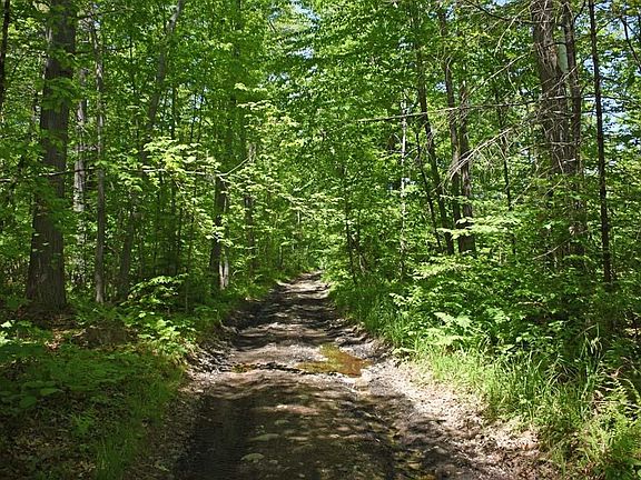4th image of 401 Sixth Range Road