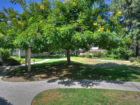 5th image of 3100 E Palm Dr Unit 11