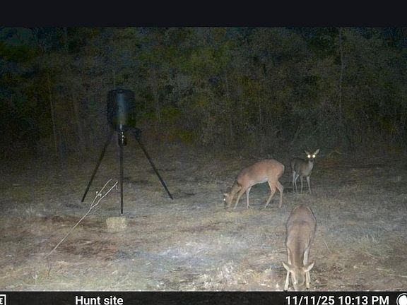 3rd image of 0 Hike Lake Rd