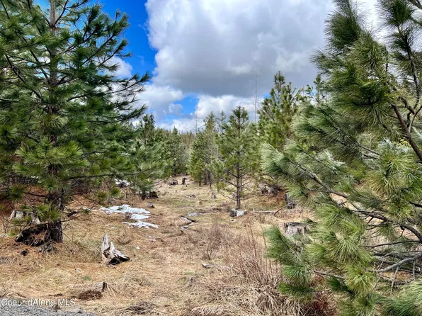 Nka Upper Fords Crk, Orofino, ID 83544