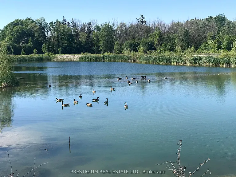 59 Ducharme Dr — Photo 12
