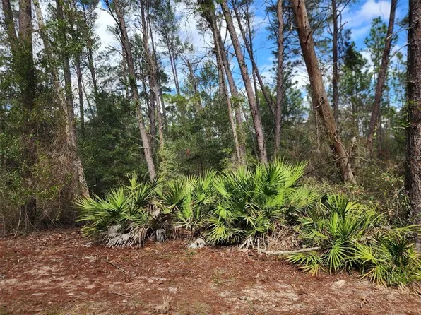 W Woodland Dr Lot 74, Perry, FL 32348