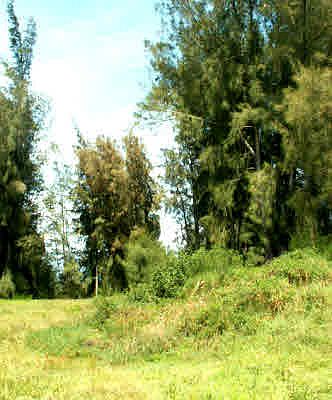 3rd image of 56-827 Waiolu Pl Lot 55