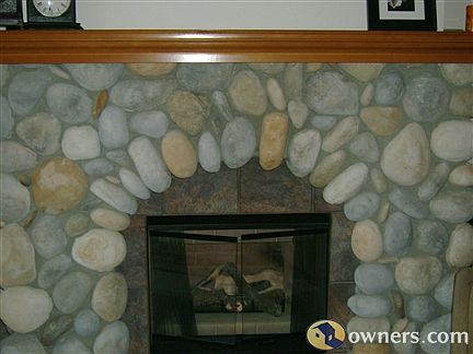 Living Room fireplace