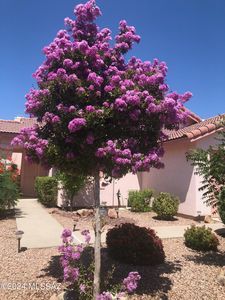 9971 N Outlaw Trl, Tucson, AZ, 85742