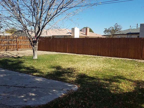 Back yard
