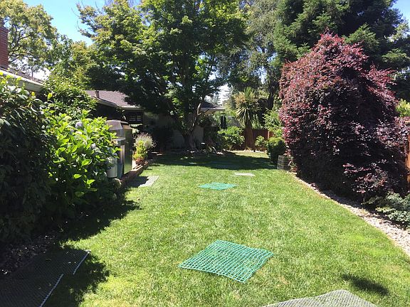 Back yard