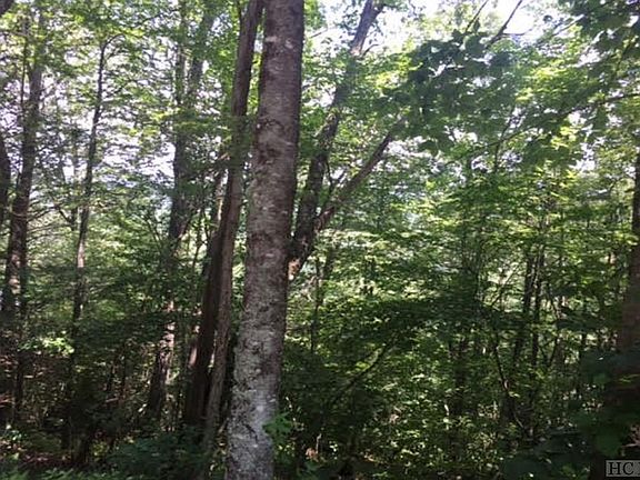 4th image of TBD Moorewood Circle