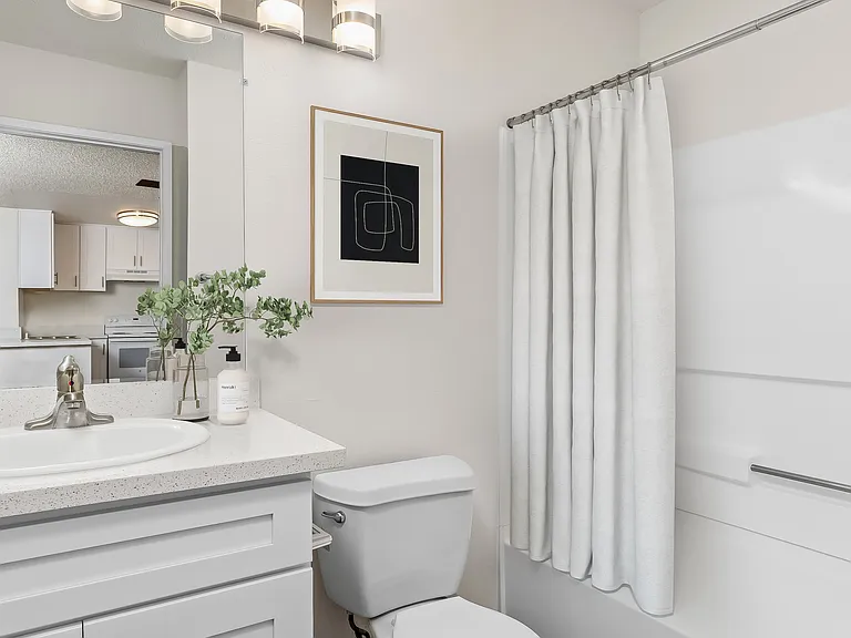 Remodel Apartment