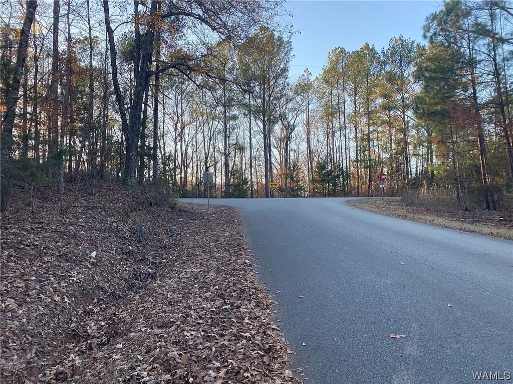 0 Curry Rd, Duncanville, AL 35456 MLS 160174 Zillow
