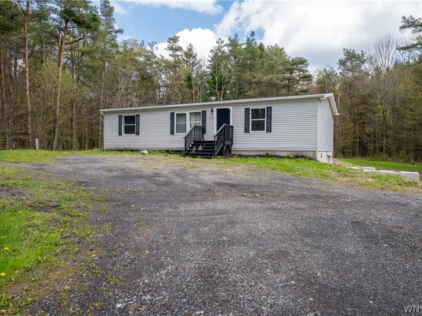 7784 Irish Hill Rd, West Valley, NY 14171