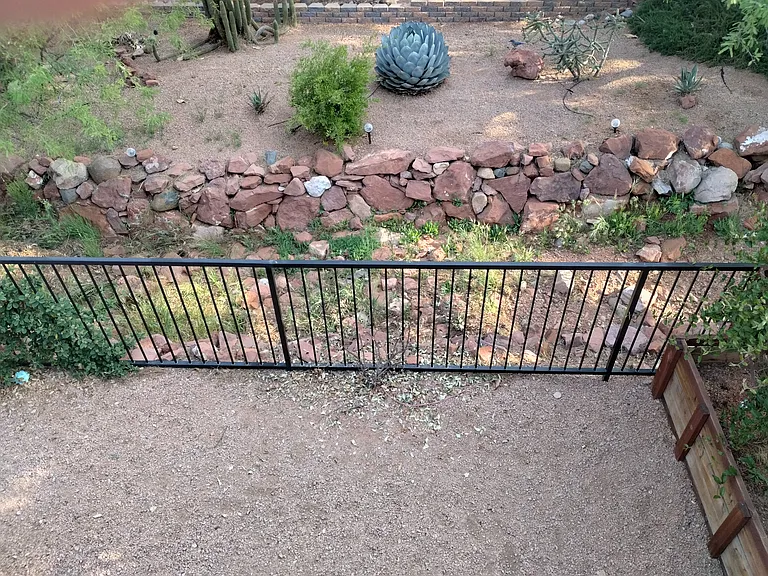 Fenced back yard