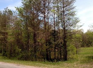 55th St, Fennville, MI 49408