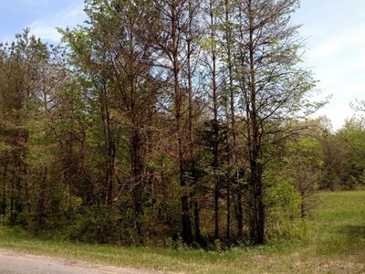 55th St, Fennville, MI, 49408