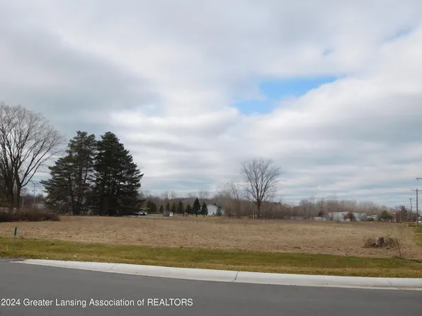 0 N Cedar Rd, Mason, MI 48854