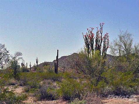 Come Home to the Countryside of the San Tans Today!