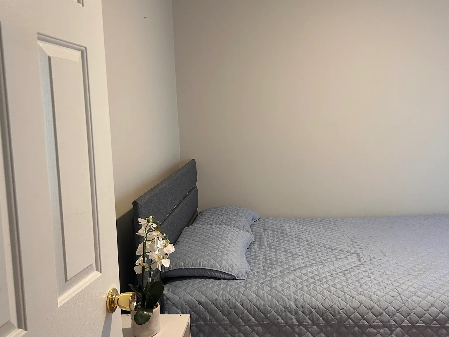 3 bed, 1518 sqft, $750 — Photo 4