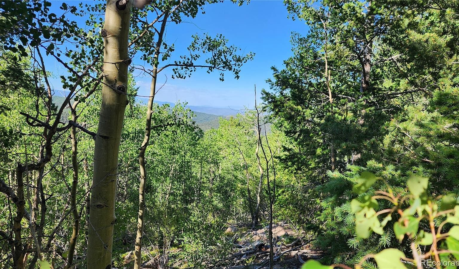 Lot 6780 Starkweather Road, San Luis, CO 81152 MLS 5337059 Zillow