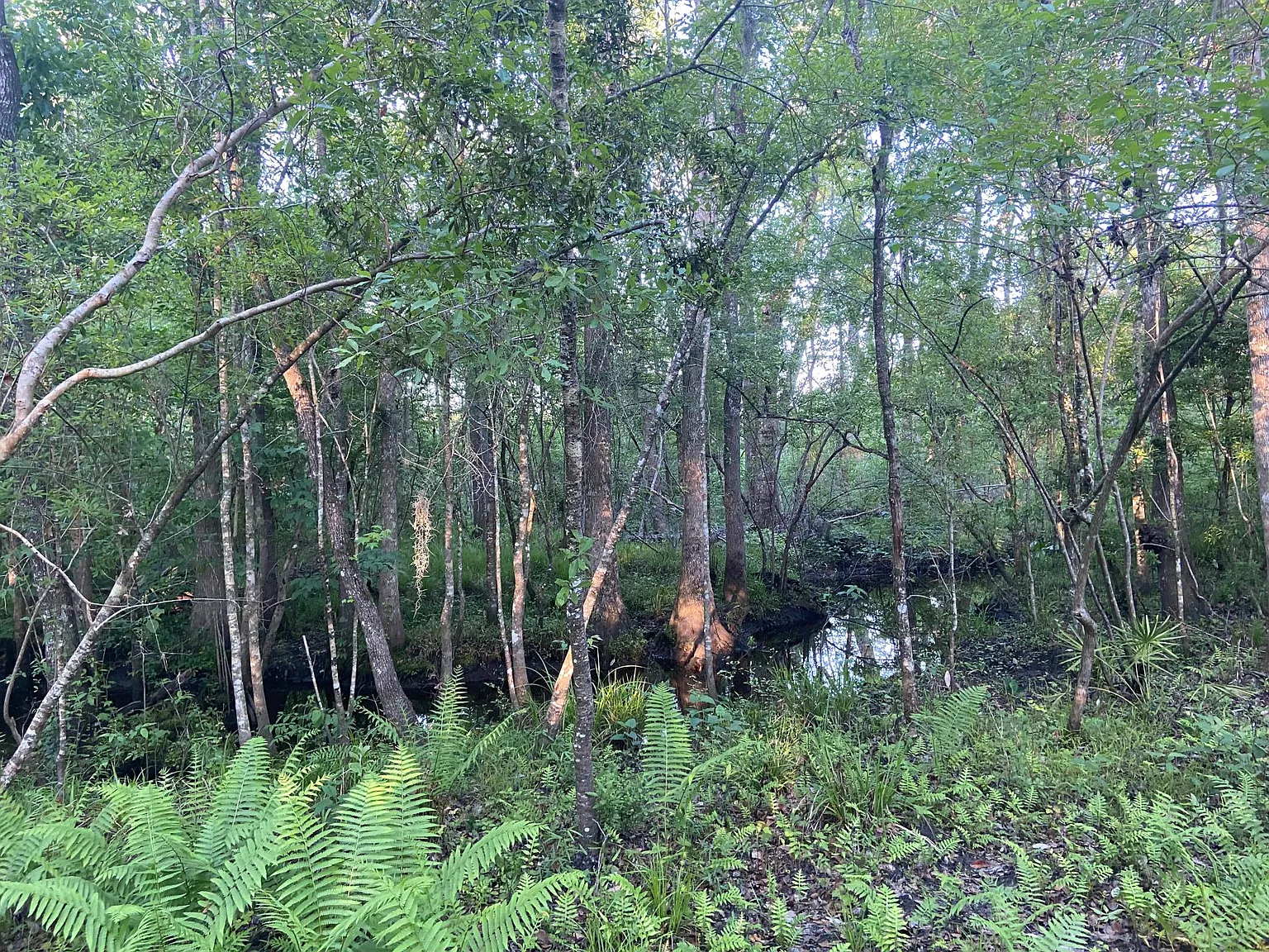 1797 Scott Rd — Photo 4