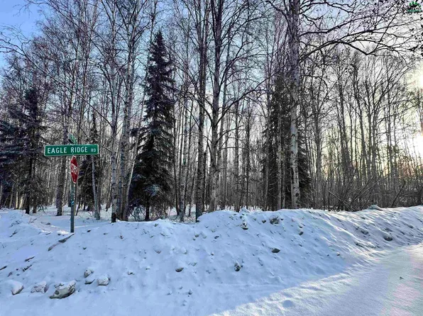 Nhn Eagle Ridge Rd, Fairbanks, AK 99712