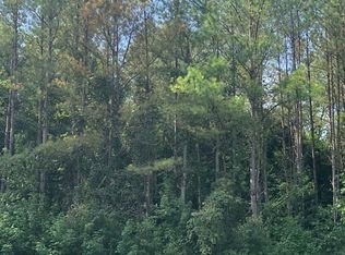 Sudie Trail Farmsville Rd, Wildersville, TN 38388