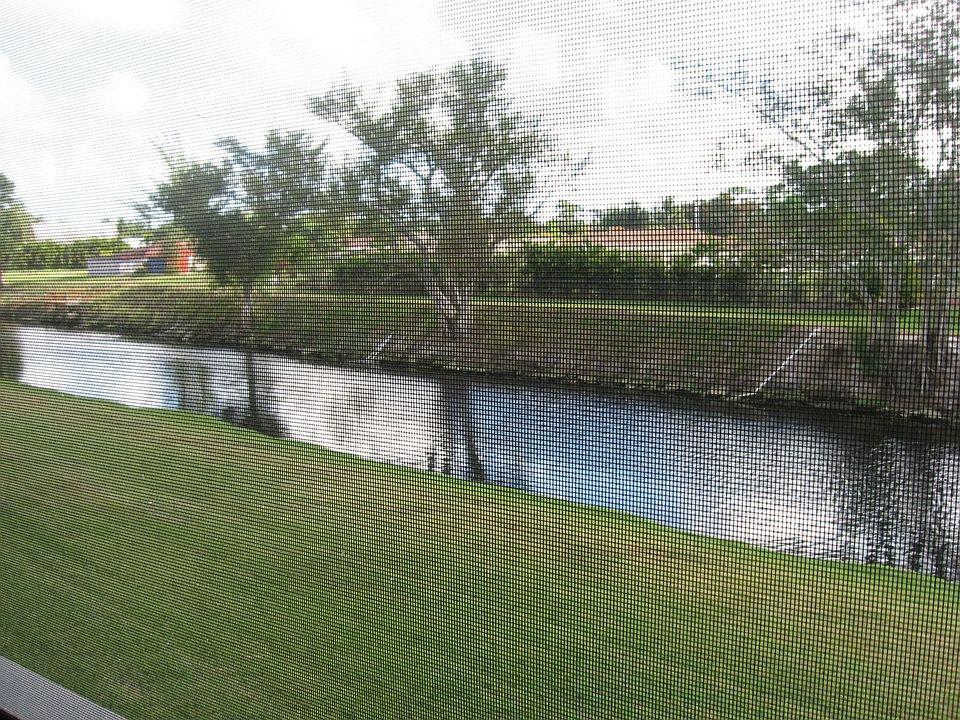 Patio View