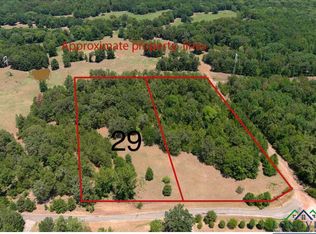 Frances Ln, Diana, TX 75640