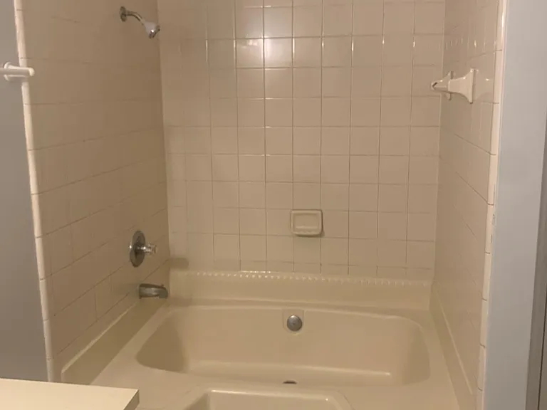 7518 Ginger Tea Trl W — Photo 5