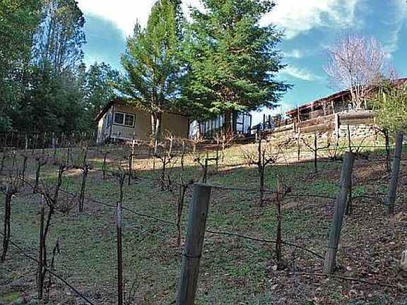 Vineyard