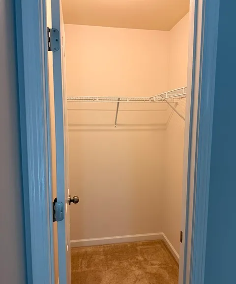 14 Shale Ct — Photo 29