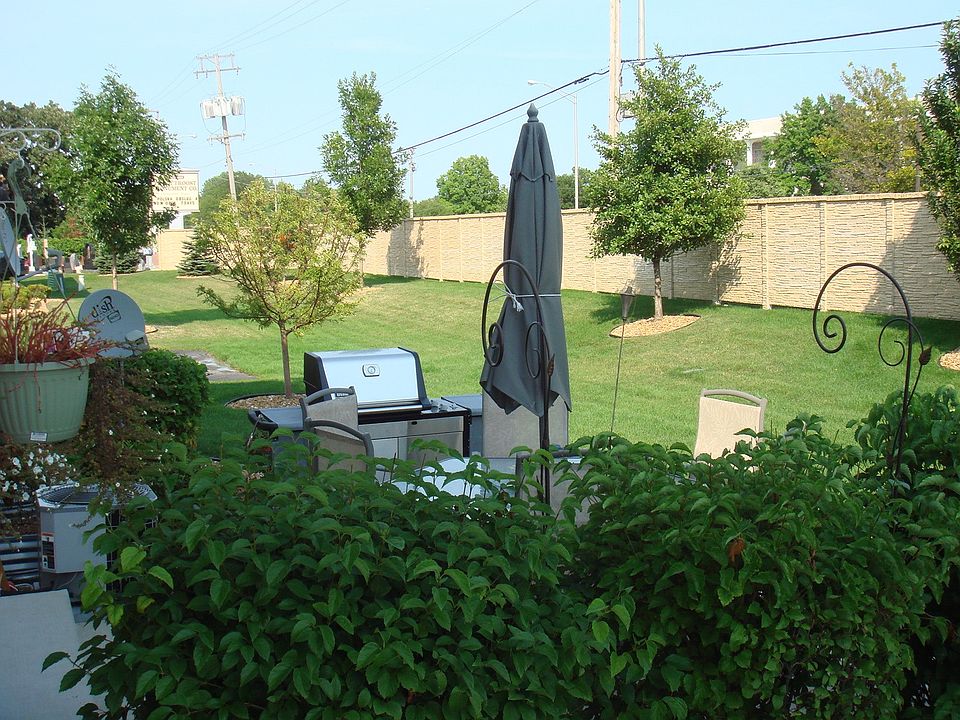 Back yard