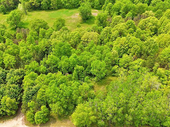 5th image of 80/- Acres V L 140th Ave