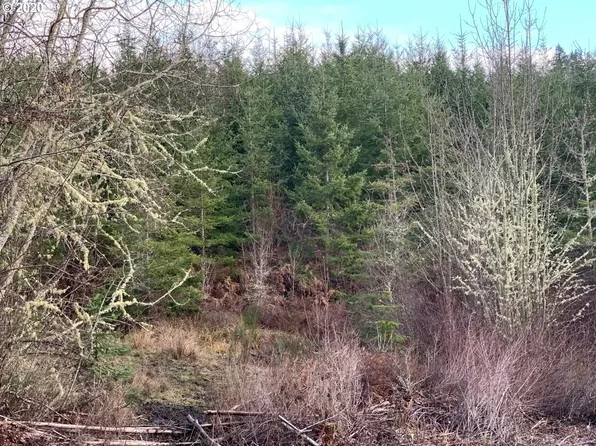 Timber Rd, Vernonia, OR 97064