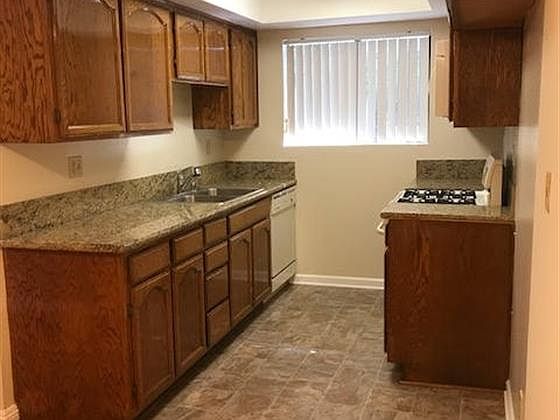5th image of 515 E Elmwood Ave APT 203